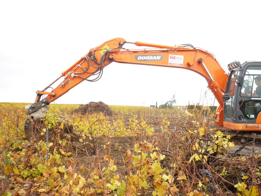 VAUD A OUVERT UN GUICHET POUR ANTICIPER L ARRACHAGE DE LA VIGNE intelligence overview