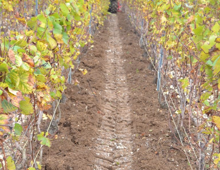Lire la suite à propos de l’article Travail du sol, l’entretien des vignes.