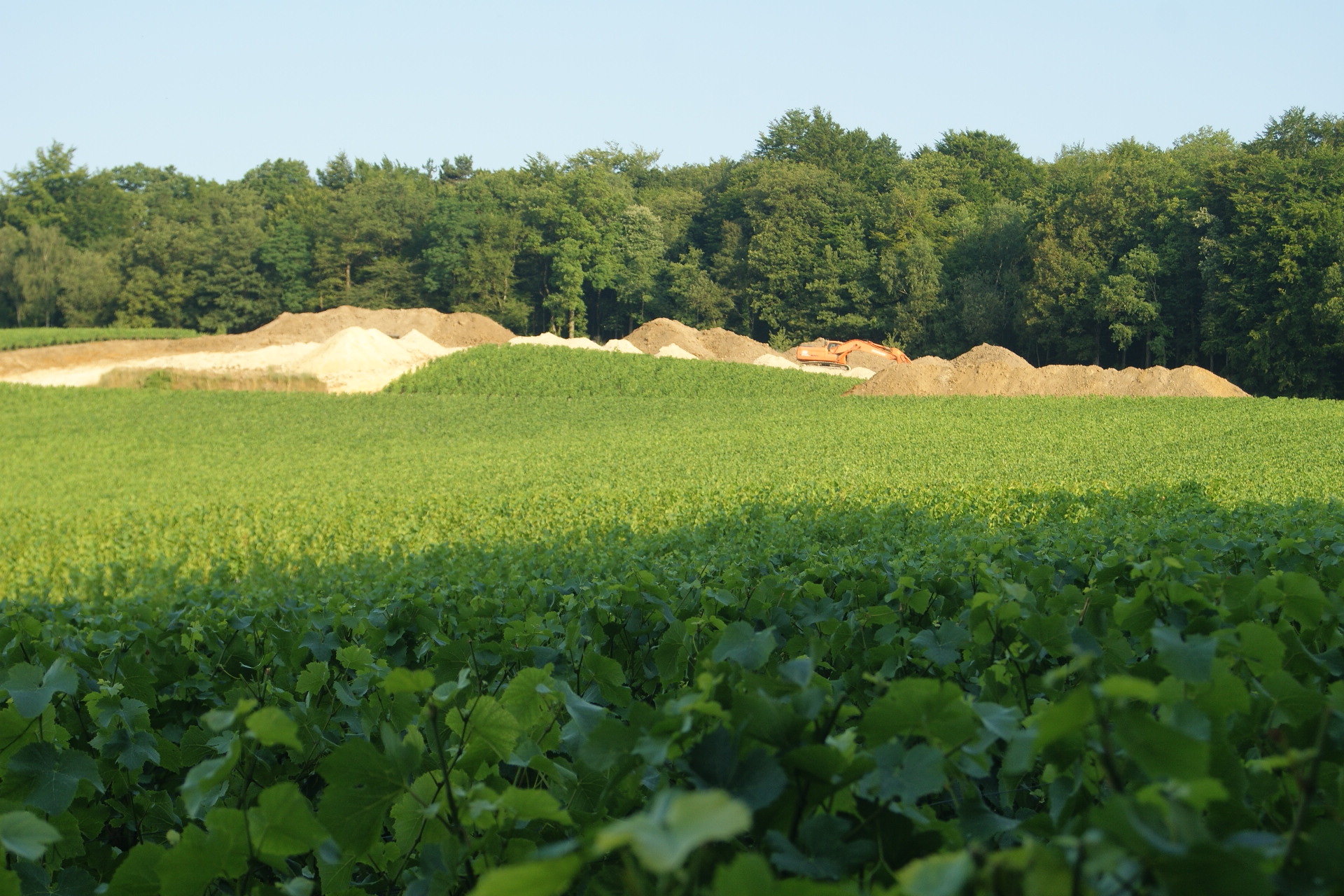 Aménagement du terrain à vigne avant plantation, Sarl Meulot, Vertus, Epernay, Marne, 51
