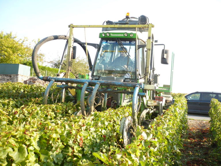 Lire la suite à propos de l’article Travaux mécaniques dans les vignes