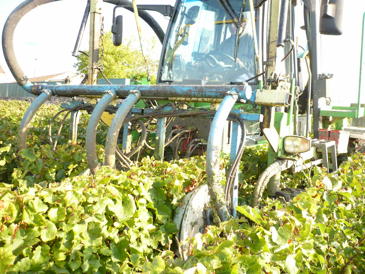 Travaux mécaniques dans les vignes, Sarl Meulot, Fèrebrianges, Marne, 51